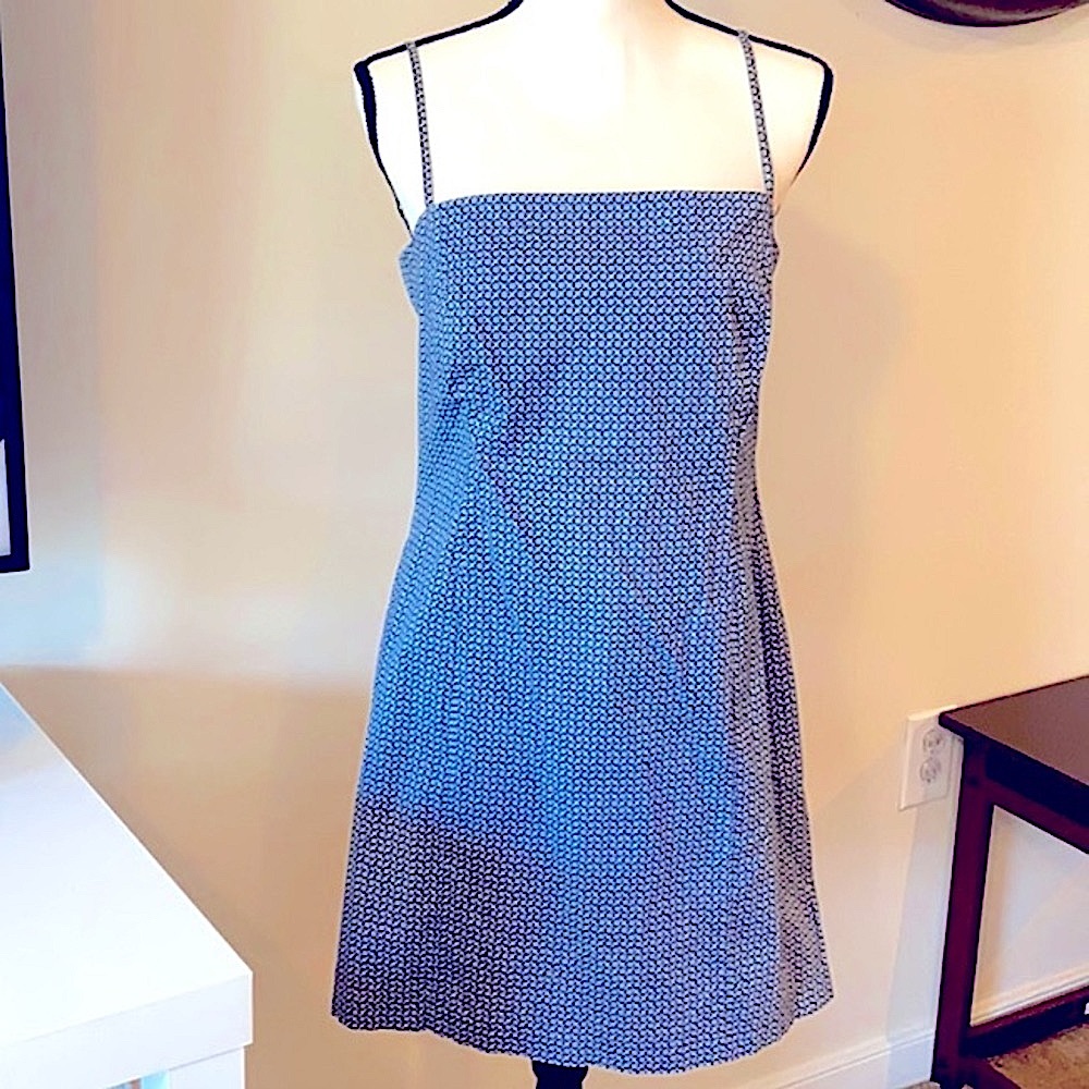 The Limited Spring Fitted Dress